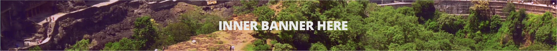 Plan Report | Official Website, District Raigarh, Government of ...